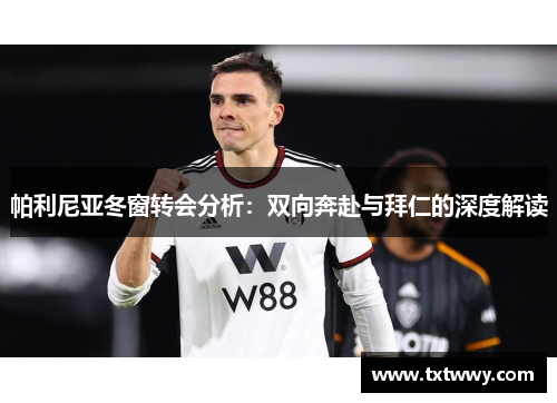帕利尼亚冬窗转会分析：双向奔赴与拜仁的深度解读