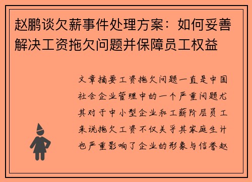 赵鹏谈欠薪事件处理方案：如何妥善解决工资拖欠问题并保障员工权益
